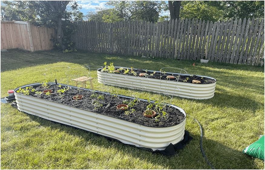 Raised Bed Gardening